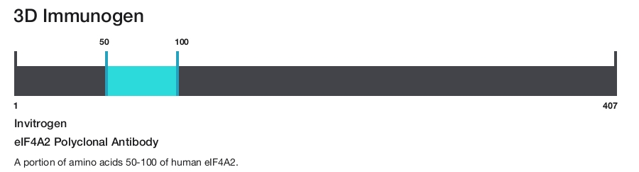 eIF4A2 Polyclonal Antibody
