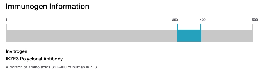 IKZF3 Polyclonal Antibody