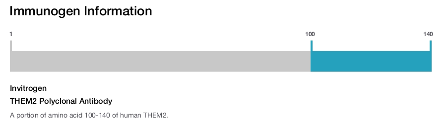 THEM2 Polyclonal Antibody