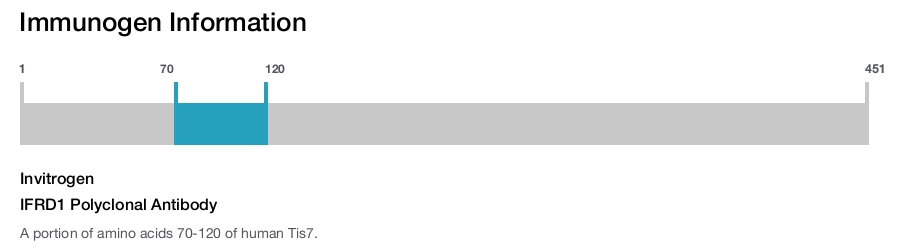 IFRD1 Polyclonal Antibody