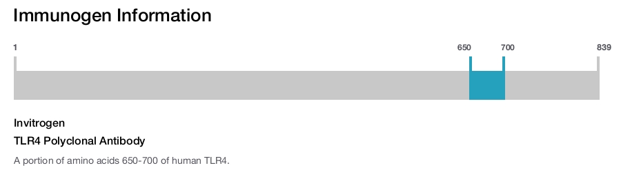 TLR4 Polyclonal Antibody
