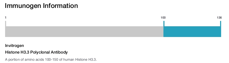 Histone H3.3 Polyclonal Antibody