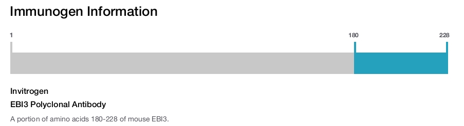 EBI3 Polyclonal Antibody