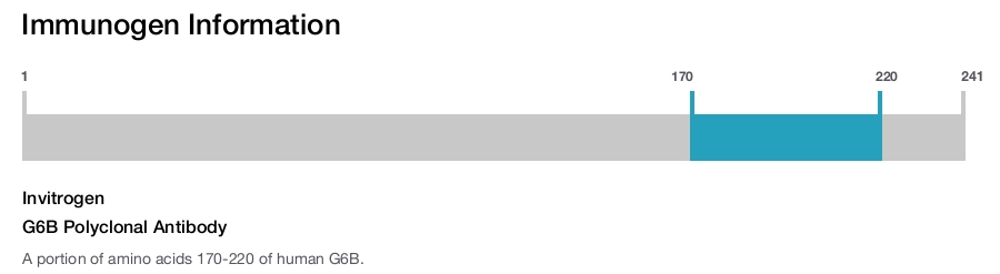 G6B Polyclonal Antibody