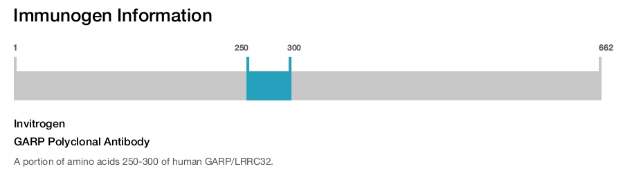 GARP Polyclonal Antibody