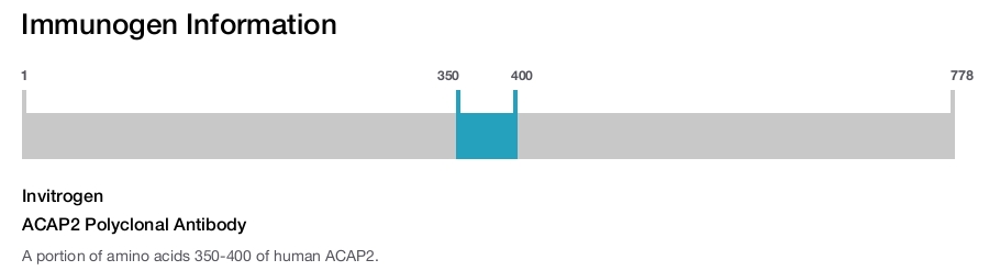 ACAP2 Polyclonal Antibody