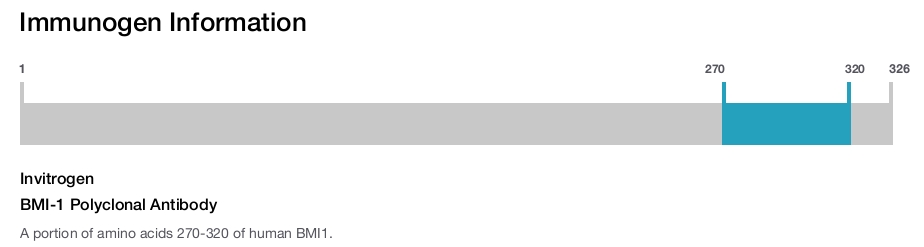 BMI-1 Polyclonal Antibody