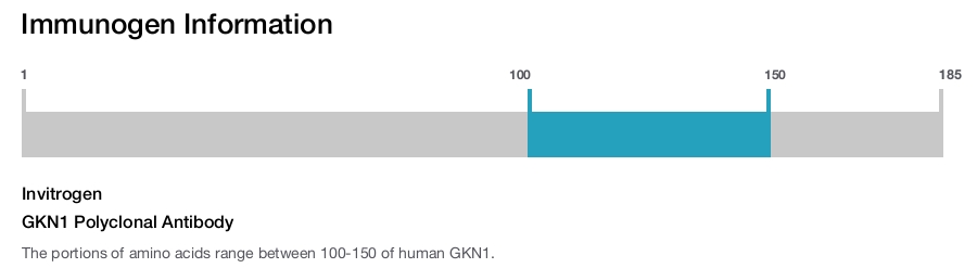 GKN1 Polyclonal Antibody