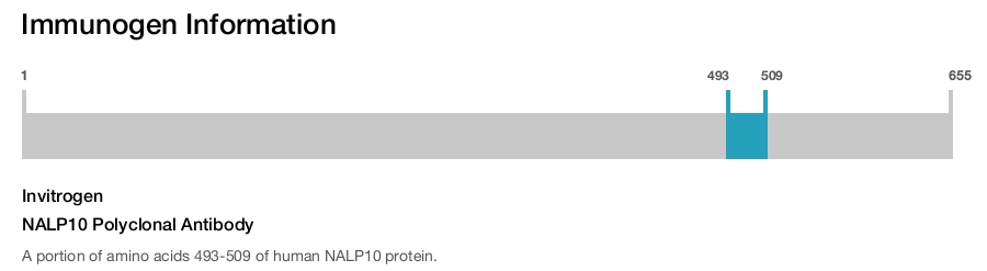 NALP10 Polyclonal Antibody