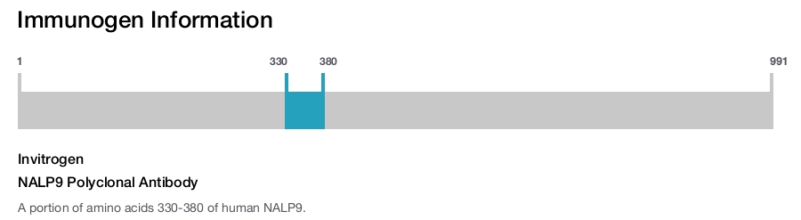 NALP9 Polyclonal Antibody