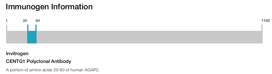 CENTG1 Polyclonal Antibody