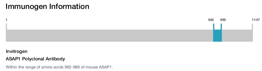 ASAP1 Polyclonal Antibody
