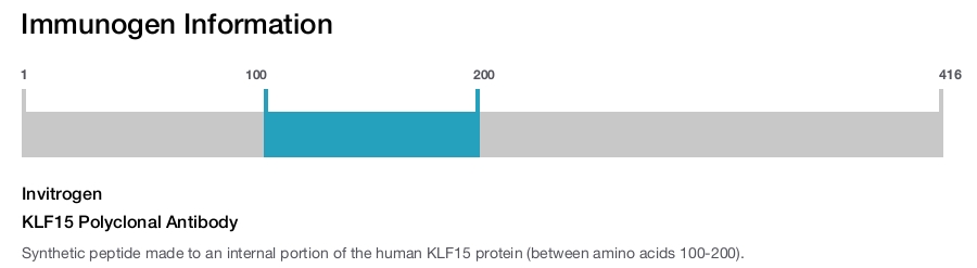 KLF15 Polyclonal Antibody