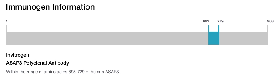 ASAP3 Polyclonal Antibody