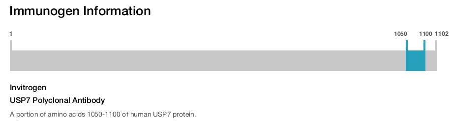 USP7 Polyclonal Antibody