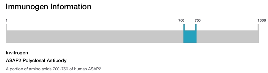 ASAP2 Polyclonal Antibody