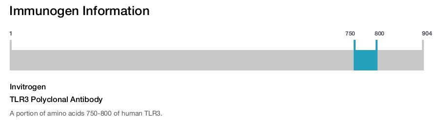 TLR3 Polyclonal Antibody