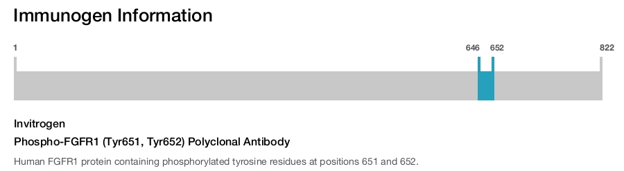 Phospho-FGFR1 (Tyr651, Tyr652) Polyclonal Antibody