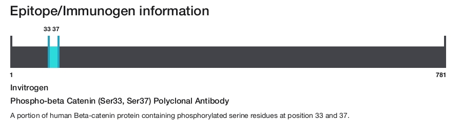 Phospho-beta Catenin (Ser33, Ser37) Polyclonal Antibody