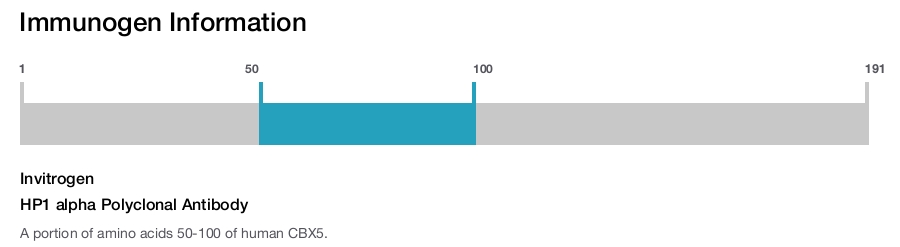 HP1 alpha Polyclonal Antibody
