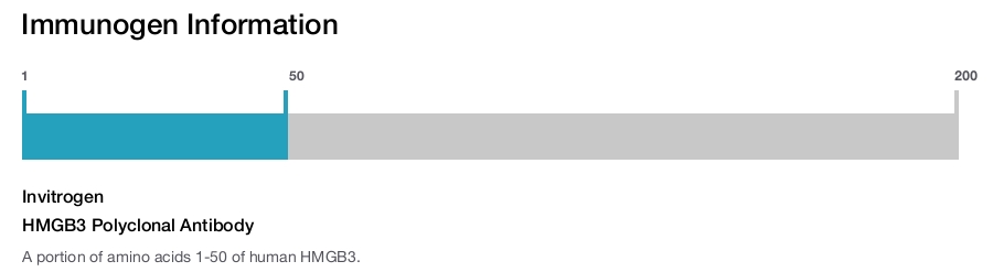 HMGB3 Polyclonal Antibody