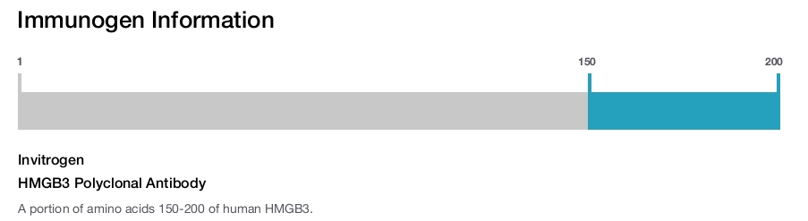 HMGB3 Polyclonal Antibody