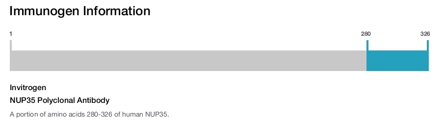 NUP35 Polyclonal Antibody
