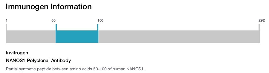 NANOS1 Polyclonal Antibody