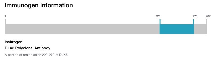 DLX3 Polyclonal Antibody