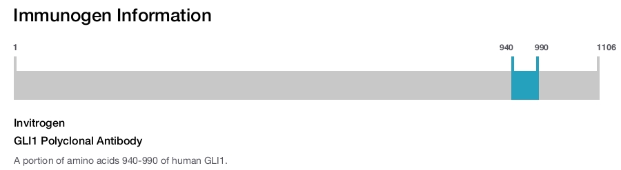 GLI1 Polyclonal Antibody