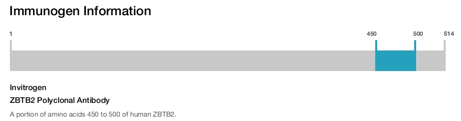 ZBTB2 Polyclonal Antibody