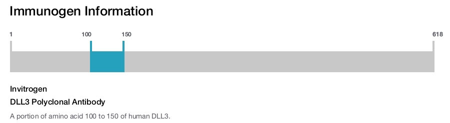 DLL3 Polyclonal Antibody
