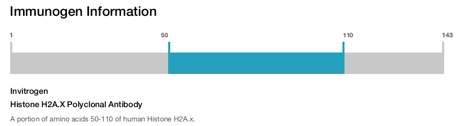 Histone H2A.X Polyclonal Antibody