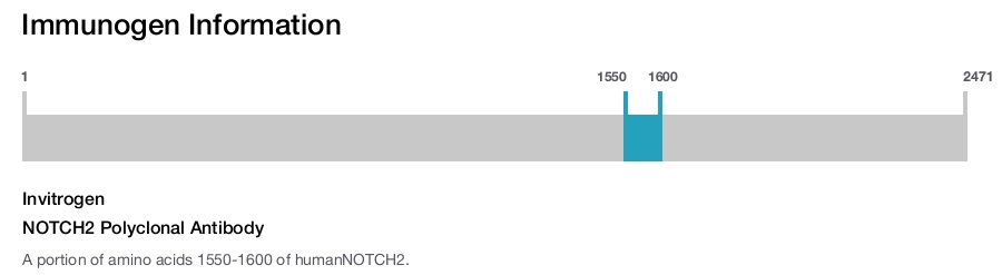 NOTCH2 Polyclonal Antibody