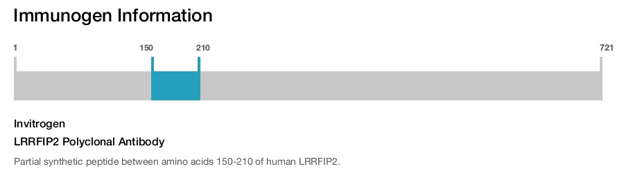 LRRFIP2 Polyclonal Antibody