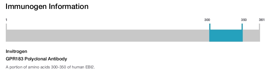 GPR183 Polyclonal Antibody