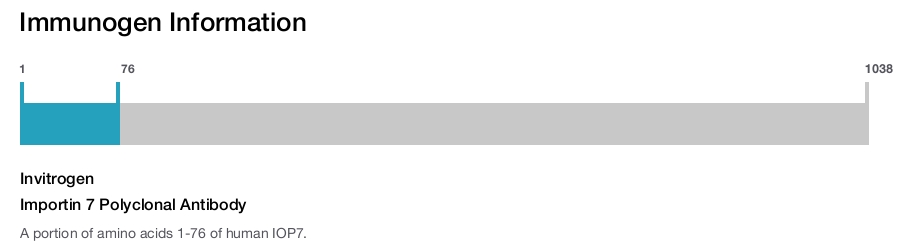 Importin 7 Polyclonal Antibody