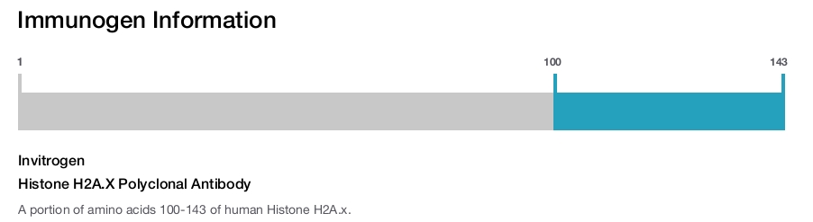 Histone H2A.X Polyclonal Antibody