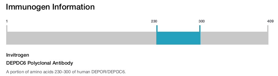 DEPDC6 Polyclonal Antibody