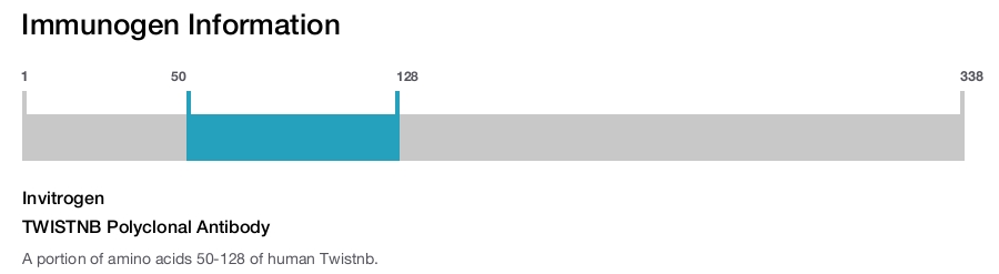 TWISTNB Polyclonal Antibody