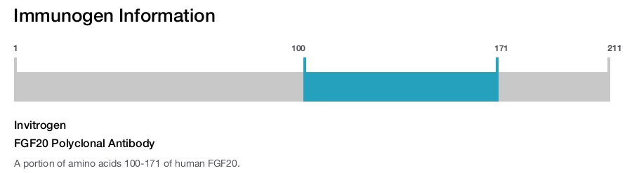 FGF20 Polyclonal Antibody