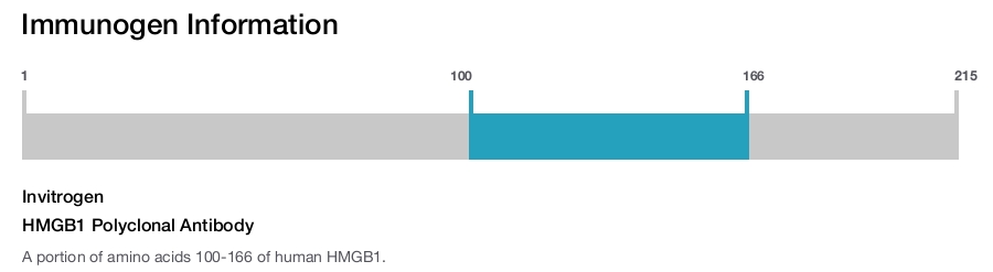 HMGB1 Polyclonal Antibody