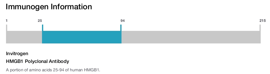 HMGB1 Polyclonal Antibody