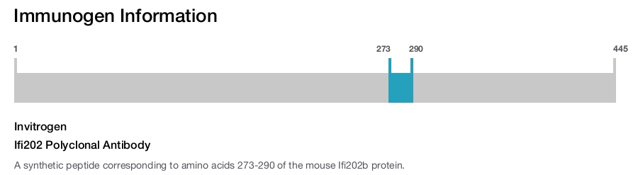 Ifi202 Polyclonal Antibody