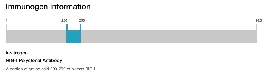 RIG-I Polyclonal Antibody