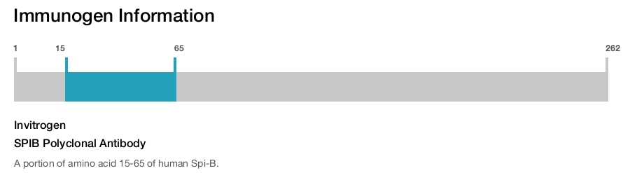 SPIB Polyclonal Antibody