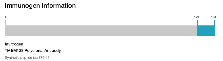 TMEM123 Polyclonal Antibody