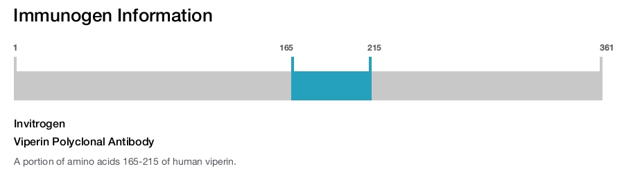 Viperin Polyclonal Antibody