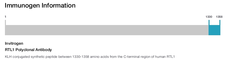 RTL1 Polyclonal Antibody