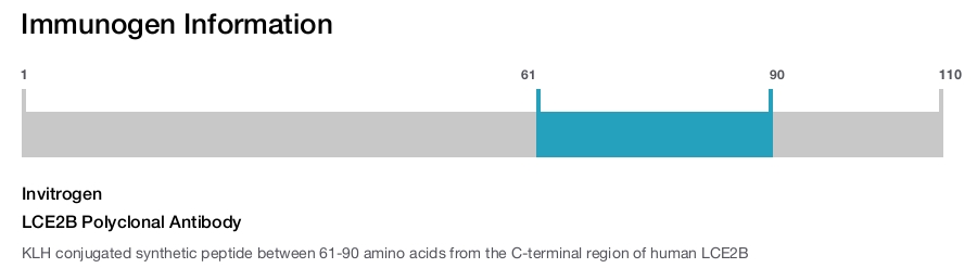 LCE2B Polyclonal Antibody